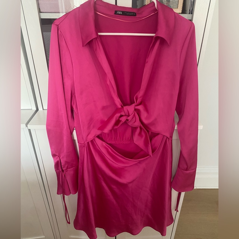 Zara Pink Dress